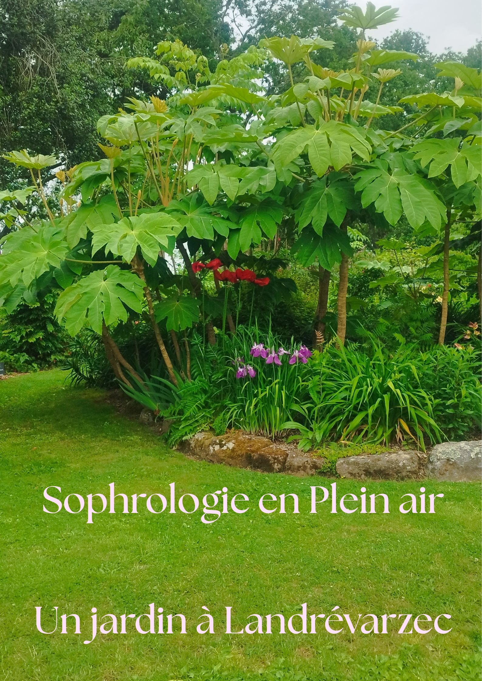 Ajouter un sous-titre (1) Sophrologie-en-plein-un-jardin-a-landrevarzec